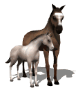 Horse Rescue and Animal Rescue Links
