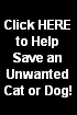 Every 4.5 seconds a stray, unwanted or abandoned pet is put to death in U.S. Animal Shelters